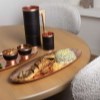 دیس ماهی خوری مسی مدل راموس نانو
